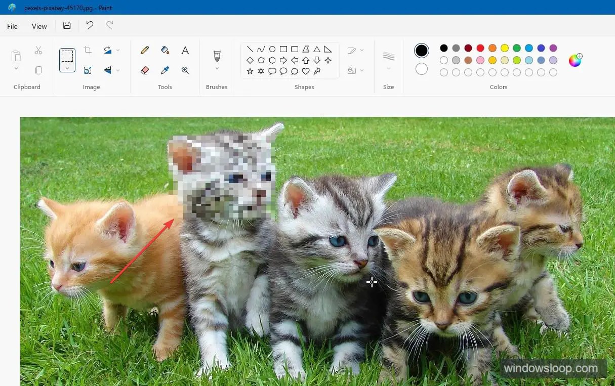 selected area blurred in paint
