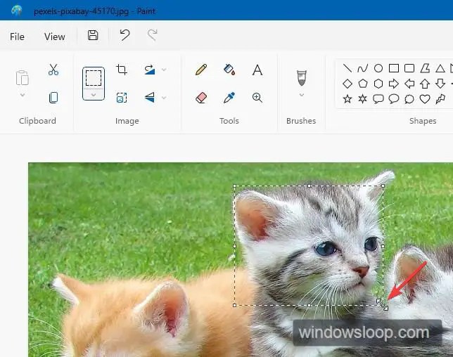 resize cursor