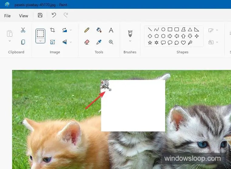 resize cursor
