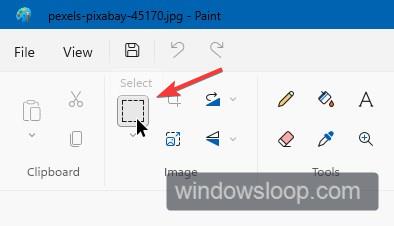select the rectangle tool in paint