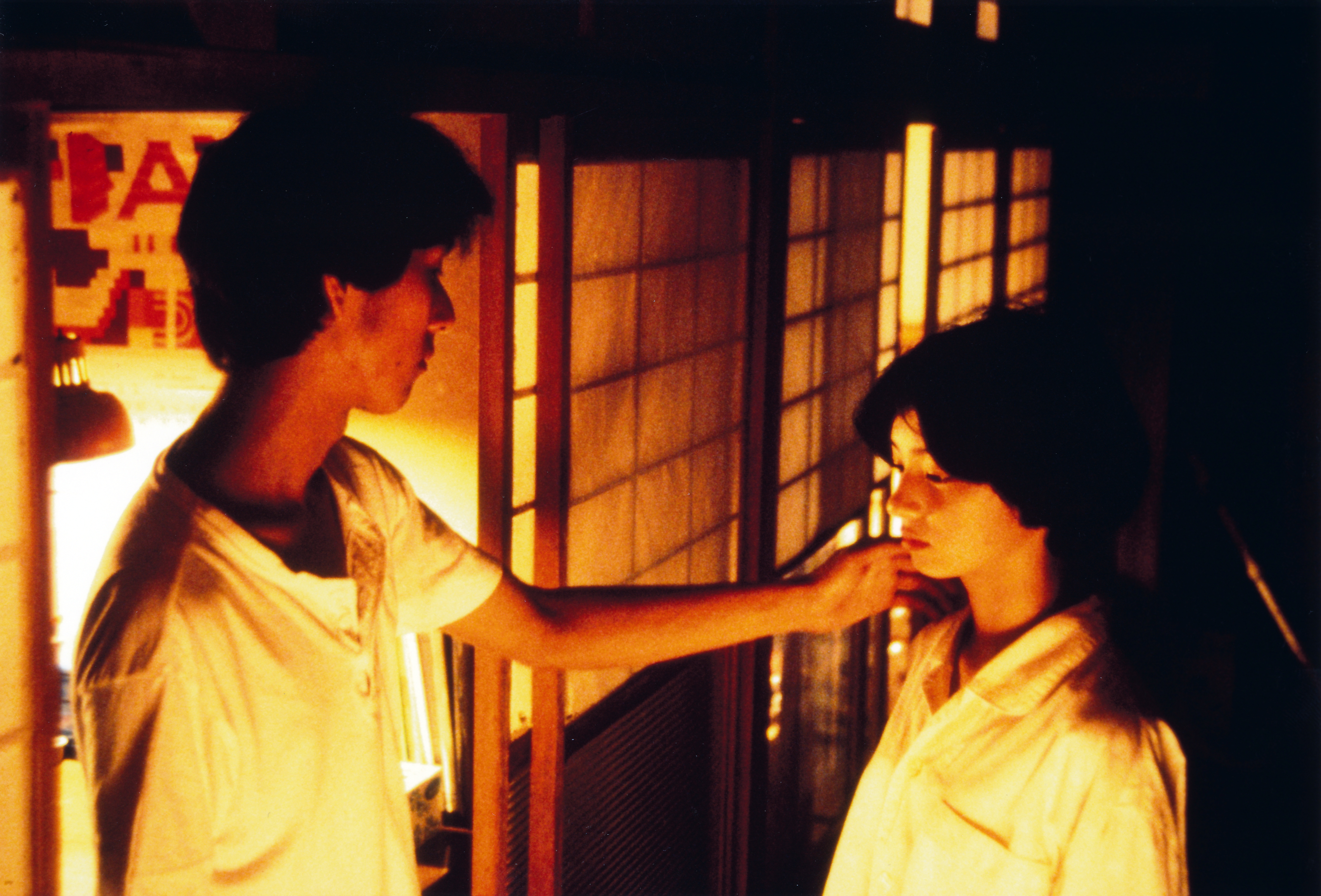 Suzaku (萌の朱雀, Naomi Kawase, 1997) – Windows on Worlds