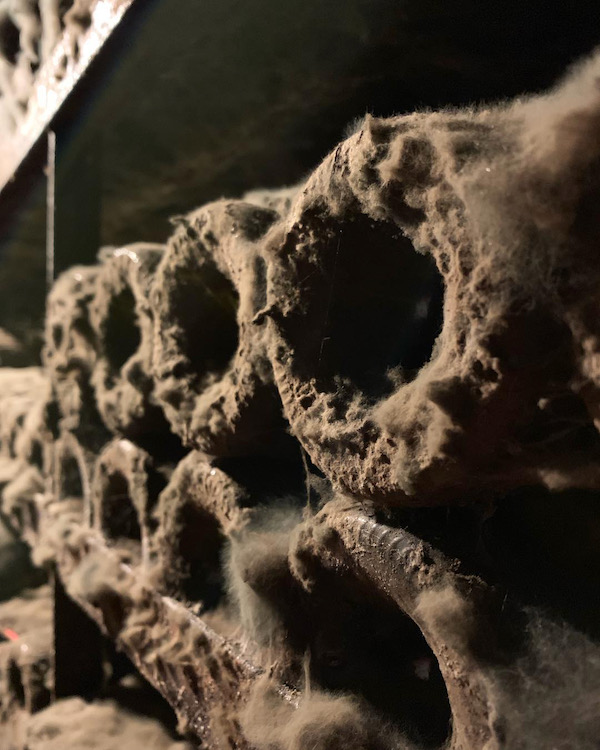 Domaine Henri Germain 2