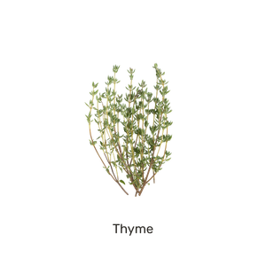 Thyme