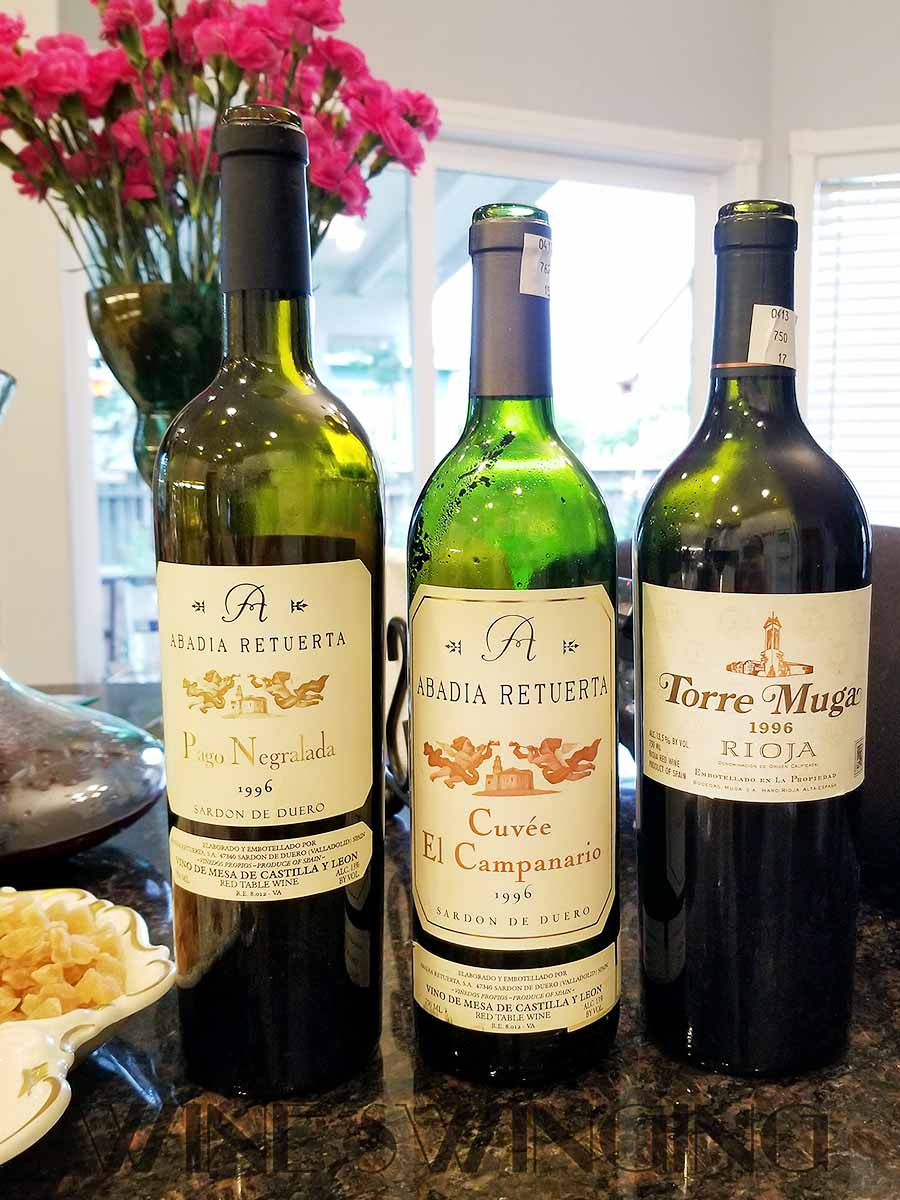 Tempranillo 1996 Tasting Rioja and Sardon de Duero - Wine Swinging