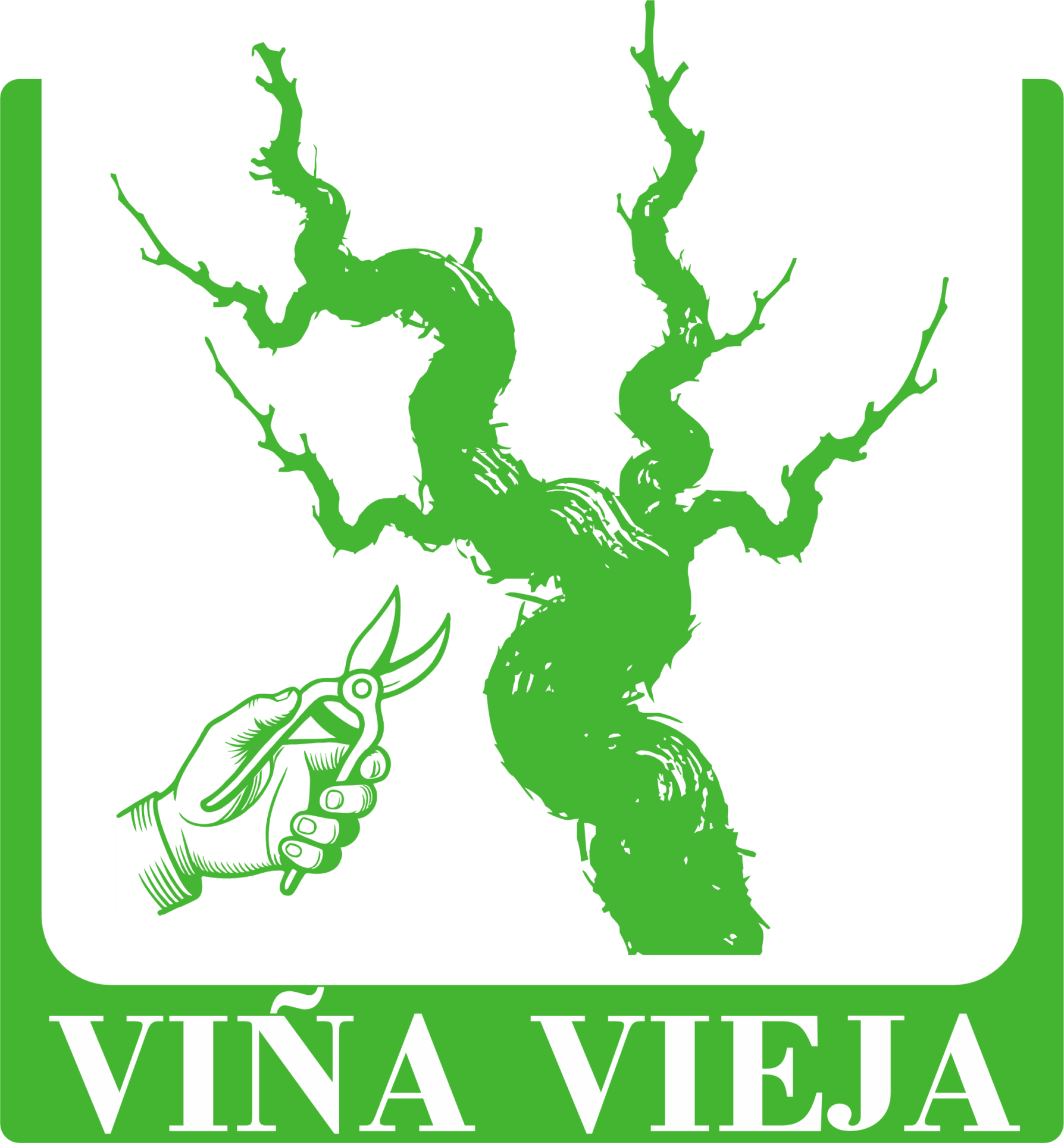 VIÑA VIEJA