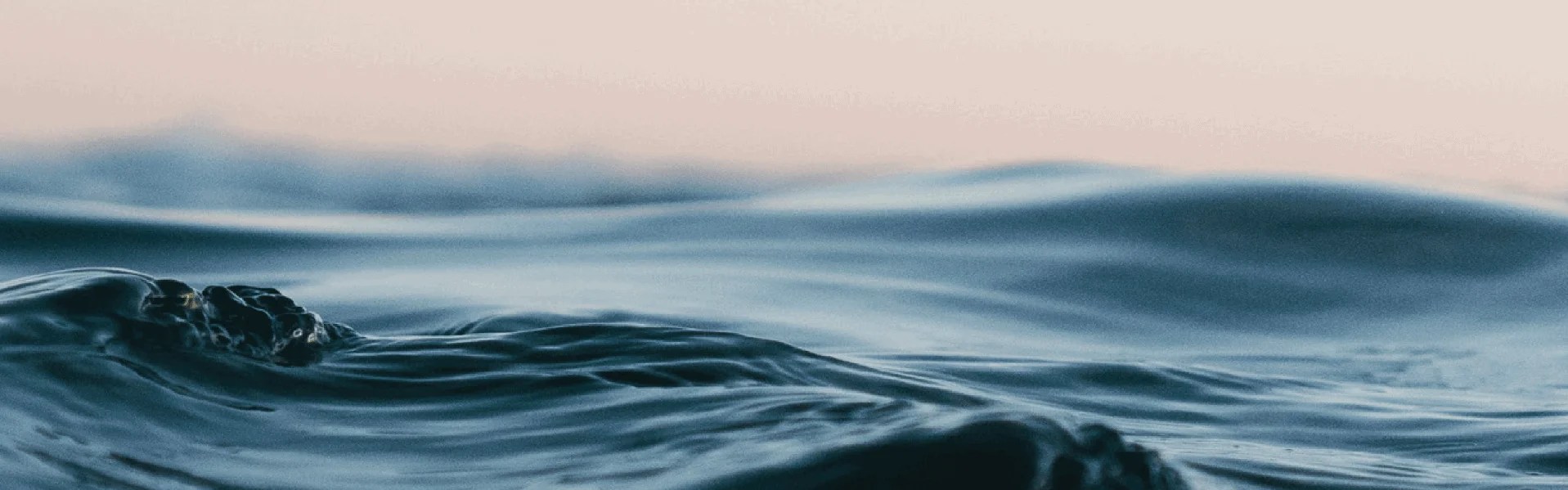 X92df 2 0 Wingd - Download Premium Gradient Design | High Resolution