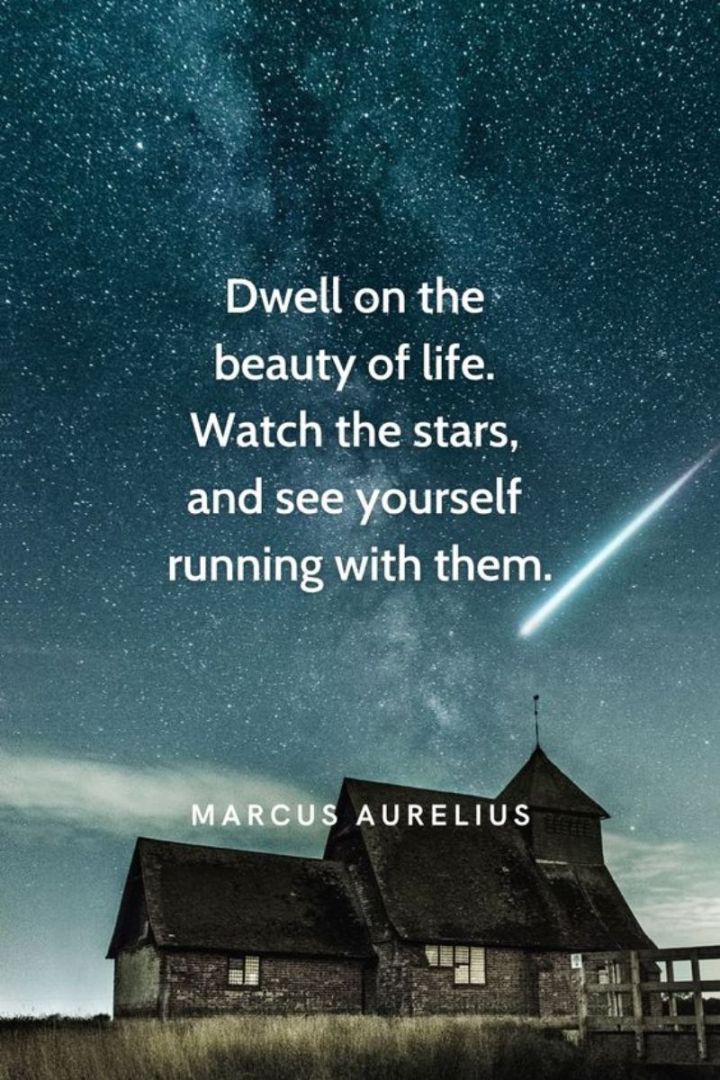 49 Marcus Aurelius Quotes - "Dwell on the beauty of life. Watch the stars, and see yourself running with them."