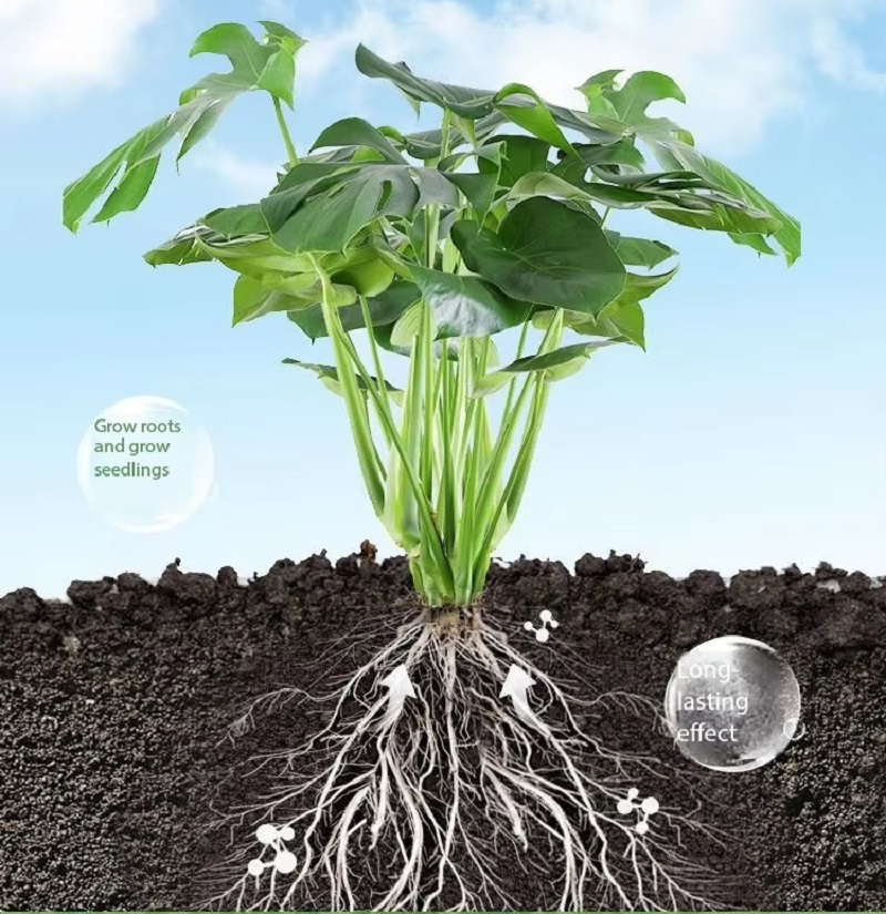 When To Apply Humic Acid For Plants