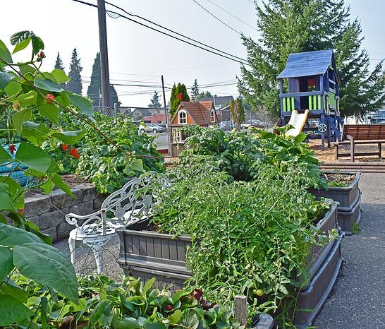 North tacoma montessori (proctor)