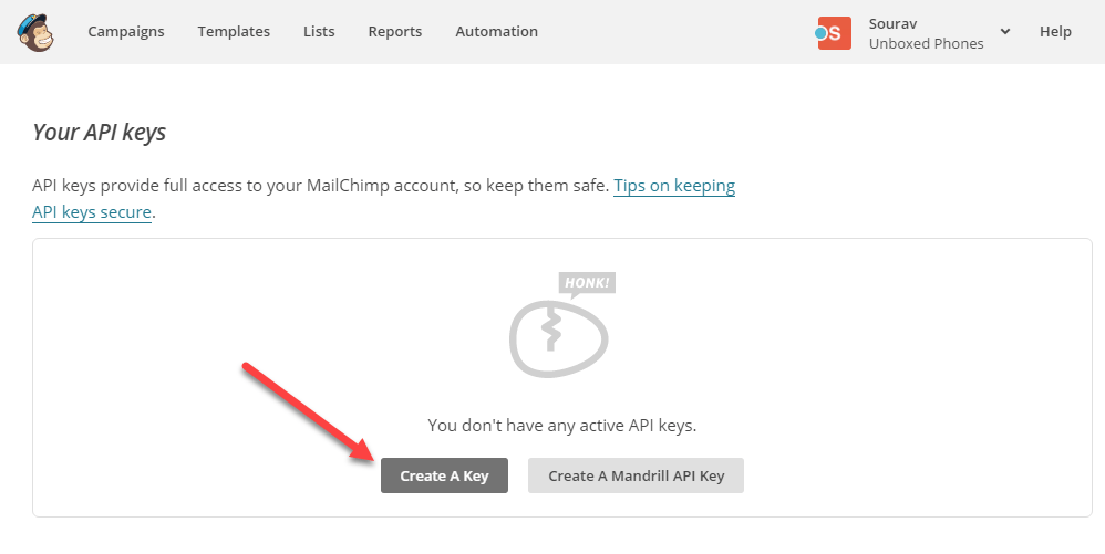 Many publishers who want to stop people from stealing their . How to Setup a Free Email Newsletter with MailChimp for WordPress