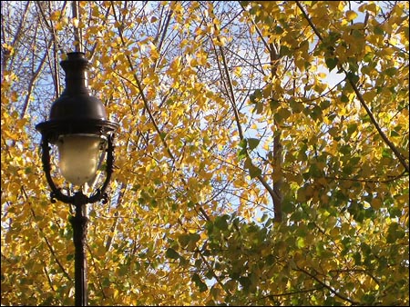 Quai Henri IV