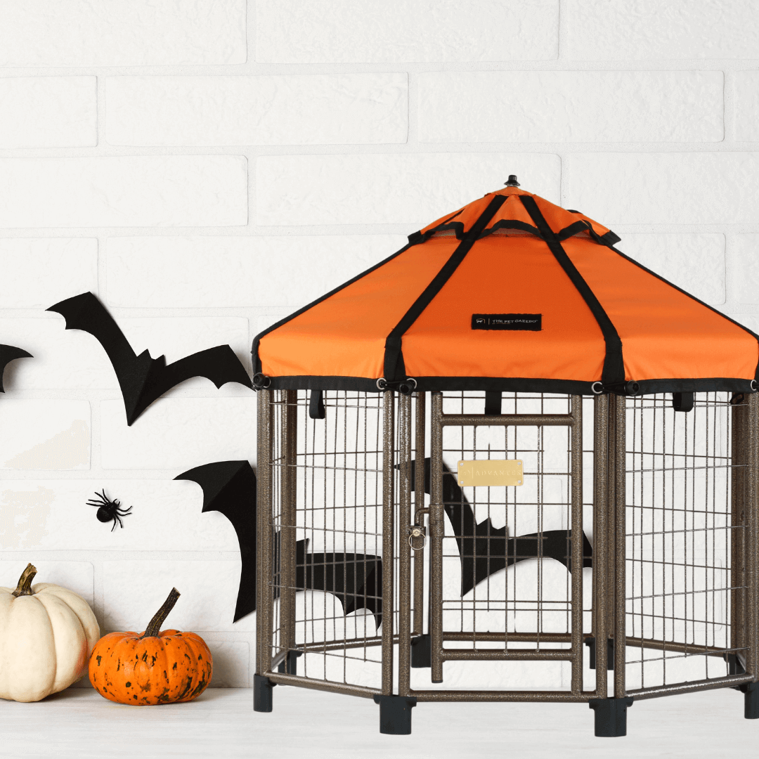 Celebrate Halloween Without the Hazards