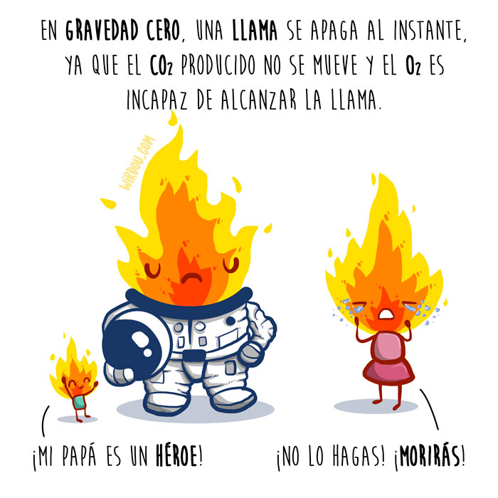 wirdou, ciencia, gracioso