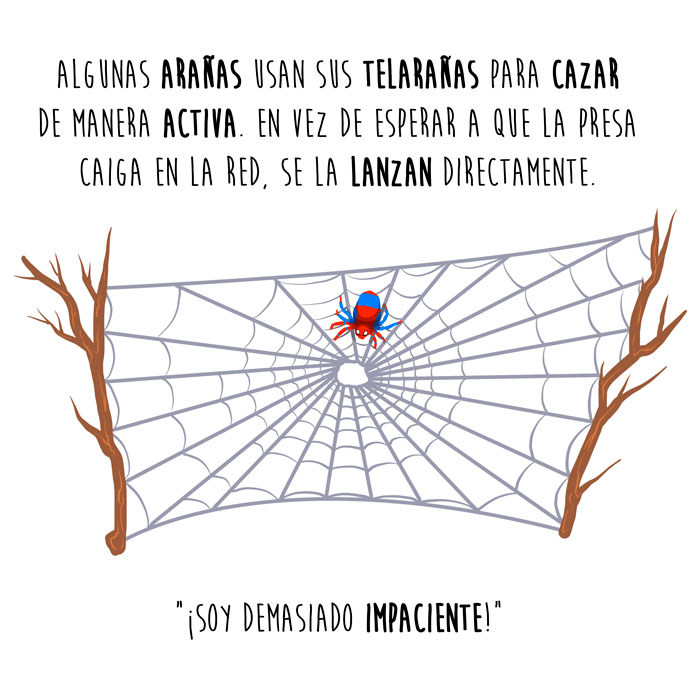 araña-lanzar-español-para-web