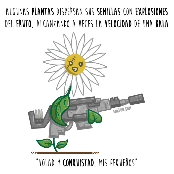 semillas-explosivas-español-para-web