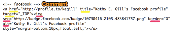 facebook-code facebook badge code