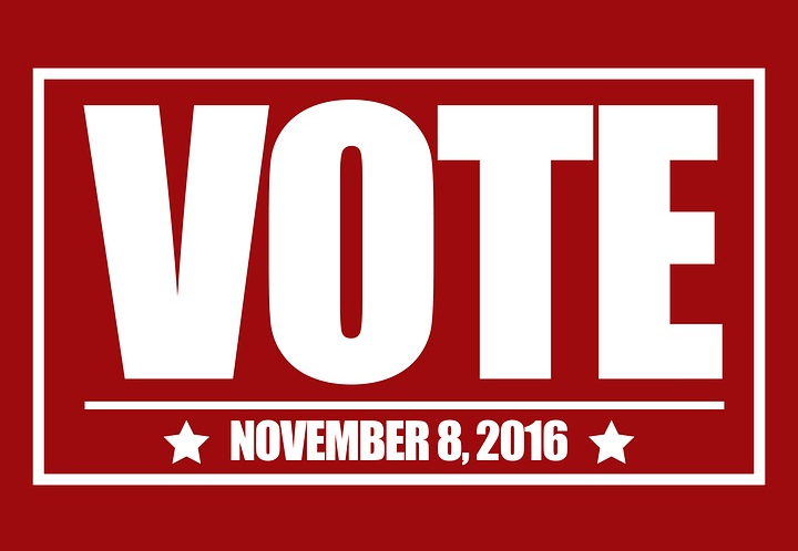 vote nov 8