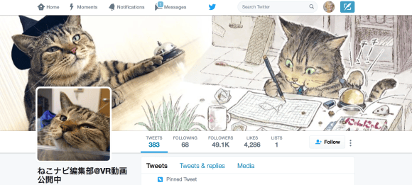 Twitter Kitty
