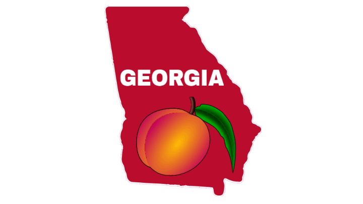 flip georgia blue