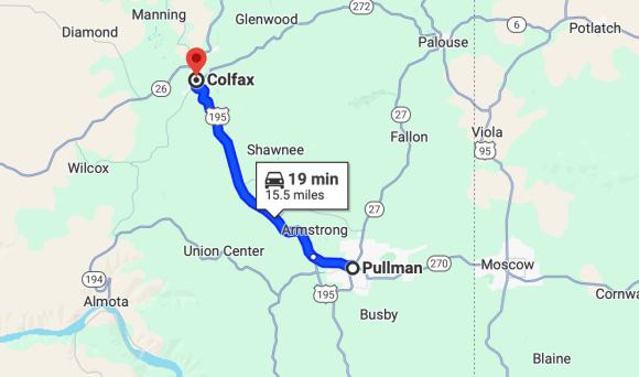 google map