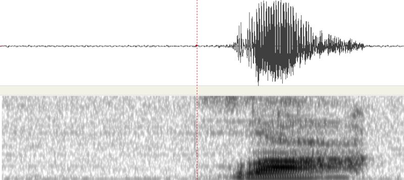 Github Racchit Distortion Correction A Small Python Script Which - Space Photos - Modern Desktop Collection