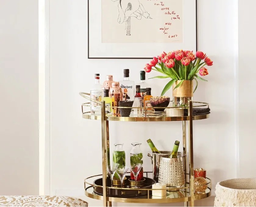 The essence of life: unveiling the biological roles of water by dr. bilal ahmad bhat, founder