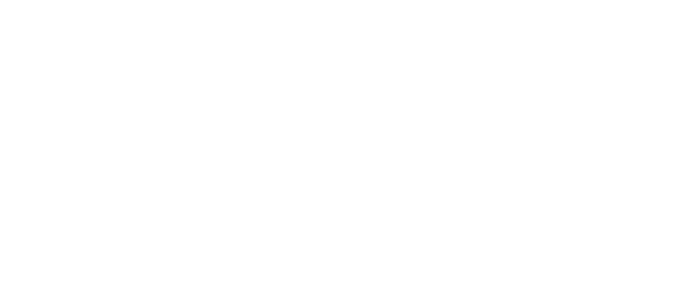 wise guys deli