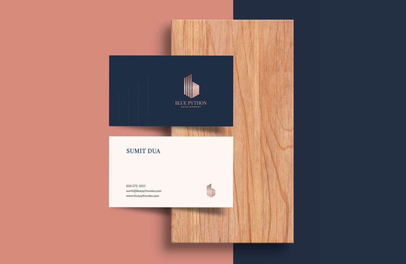 Blue Python Development Wishbox Studio - Premium Light Photo Gallery - Full HD