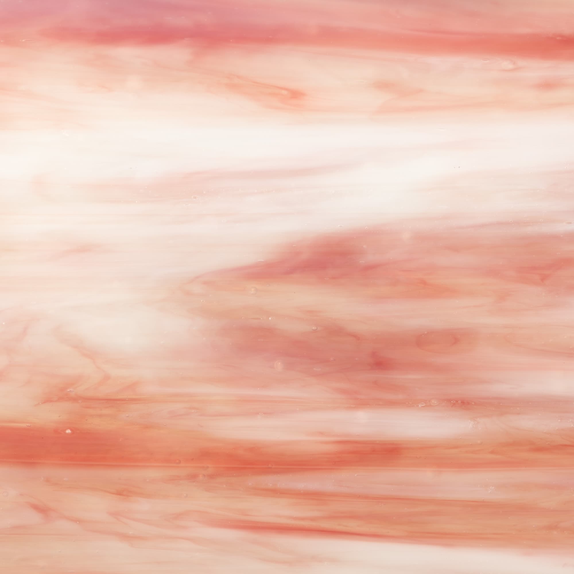 Shilo shown in smooth