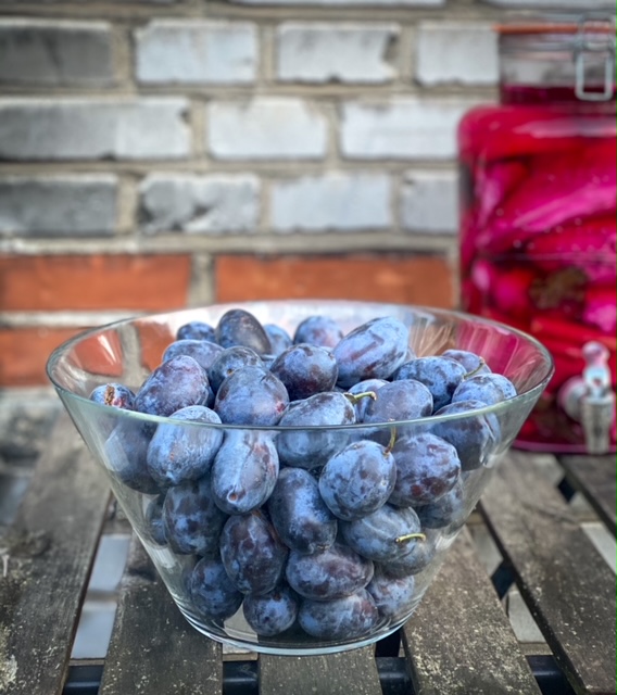 plums in bowl