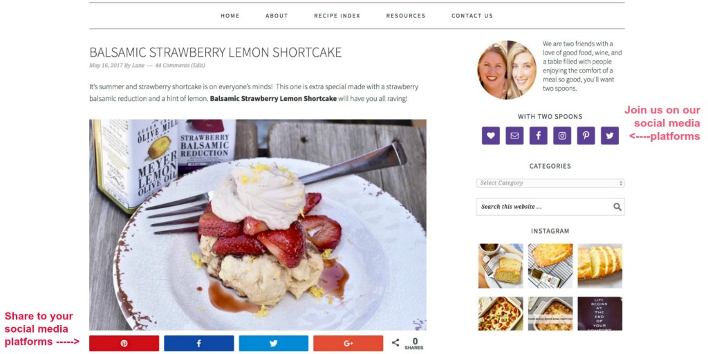 Social Media Share Buttons screenshot With Two Spoons Blog