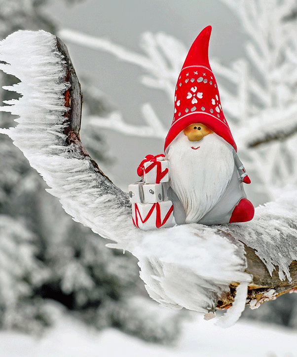 Christmas Guide 2016