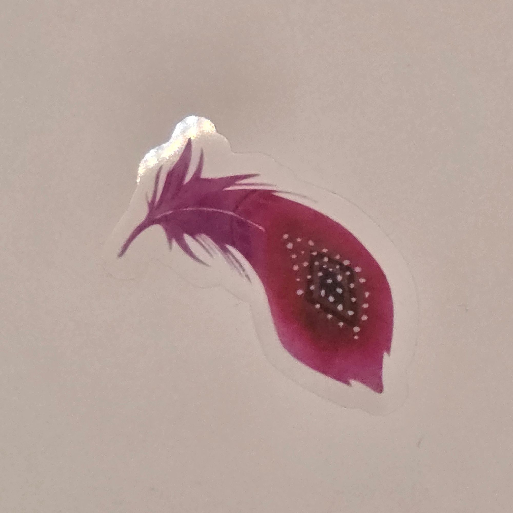 Pink Feather — Transparent Sticker (3–7 cm, Sold Individually)
