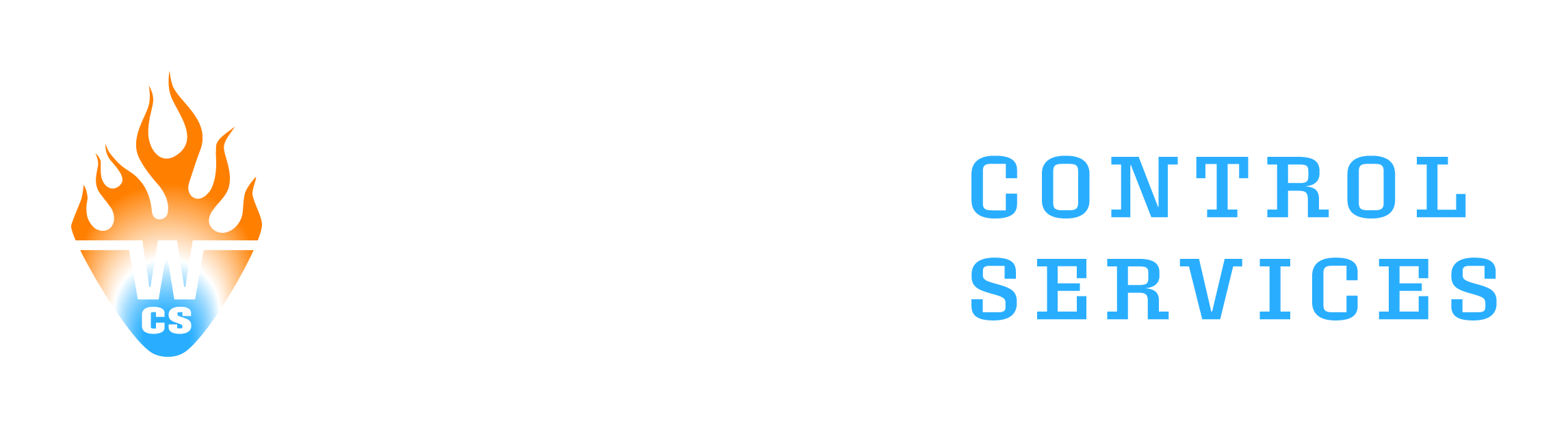 WITZ CONTROLS Logo