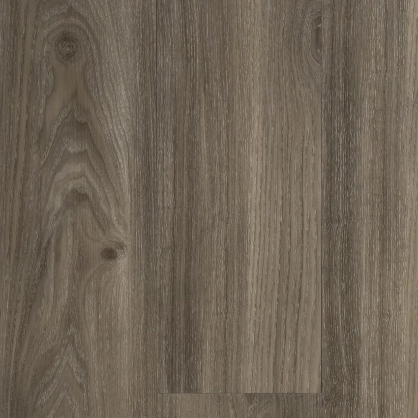 の*ん様 ❤️開花株❤️超大株❤️☘️639 【Ashwood】【ASHWOOD