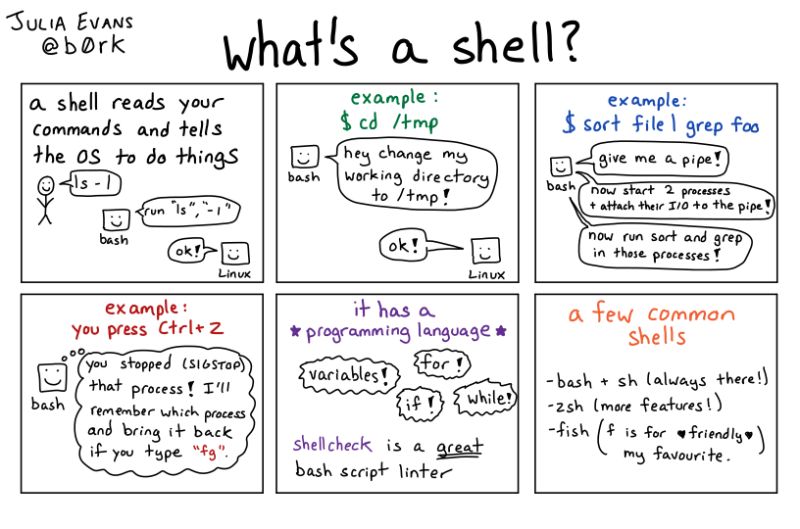 Shell Comics - Download Incredible Minimal Background | 4K