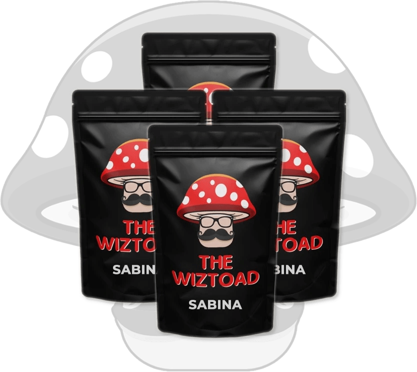 best shrooms Toronto Huautla best shrooms Toronto Huautla