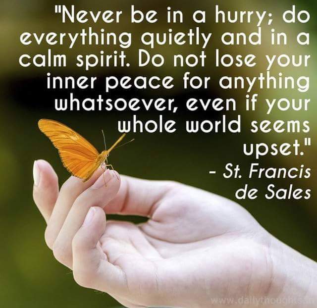 Inner_Peace Never be in a Hurry~ St Francis de Sales