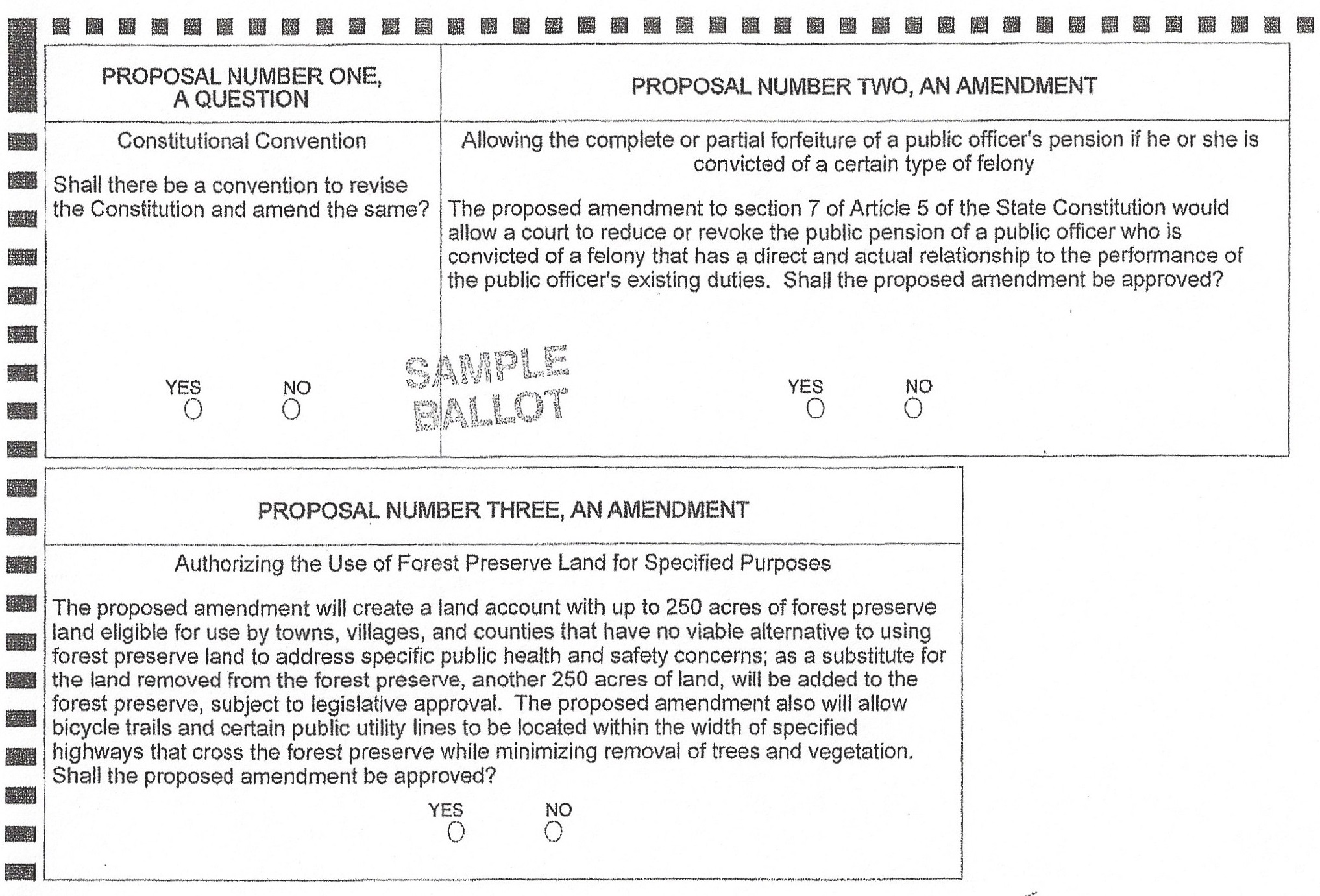 Excerpt from the back of a sample ballot for Nov. 7 2017 in NY State.
