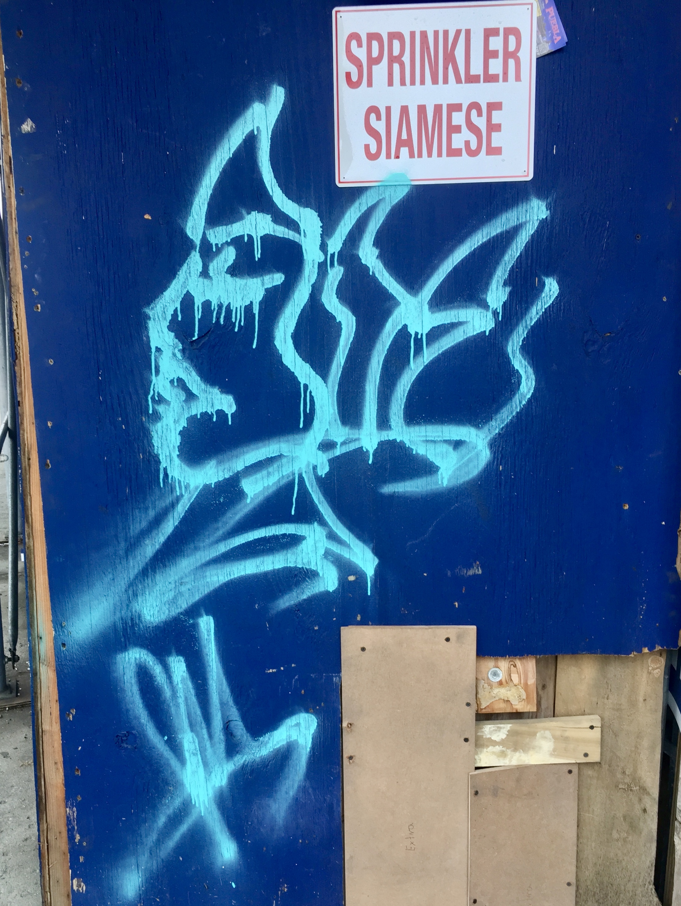 Tag of a Woman's Profile on Sidewalk scaffolding