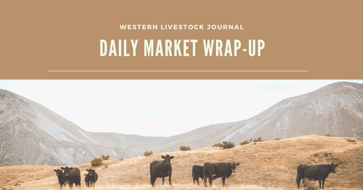 Daily Market Wrap Up Thumbnail