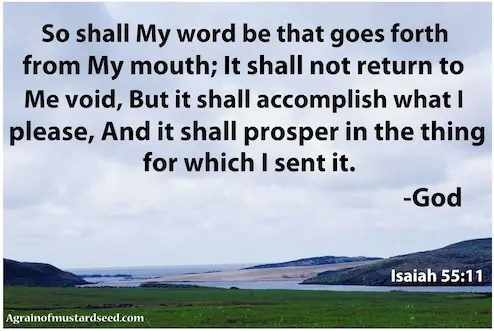 Gods Word