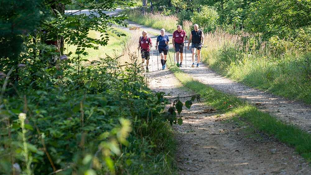 2019 IVV Wandertag Woelbling