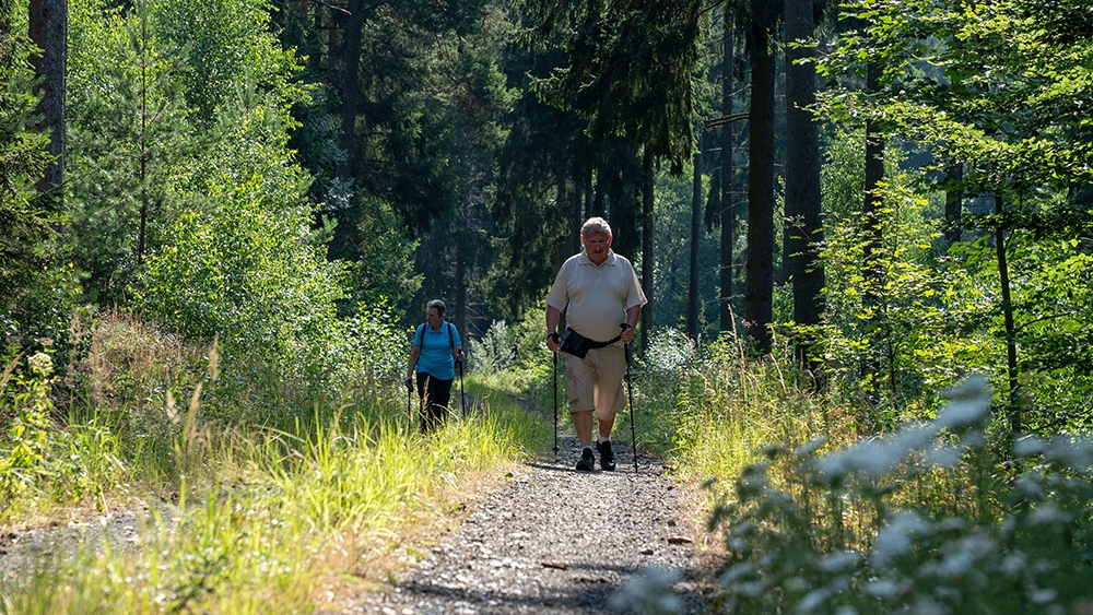 2019 IVV Wandertag Woelbling