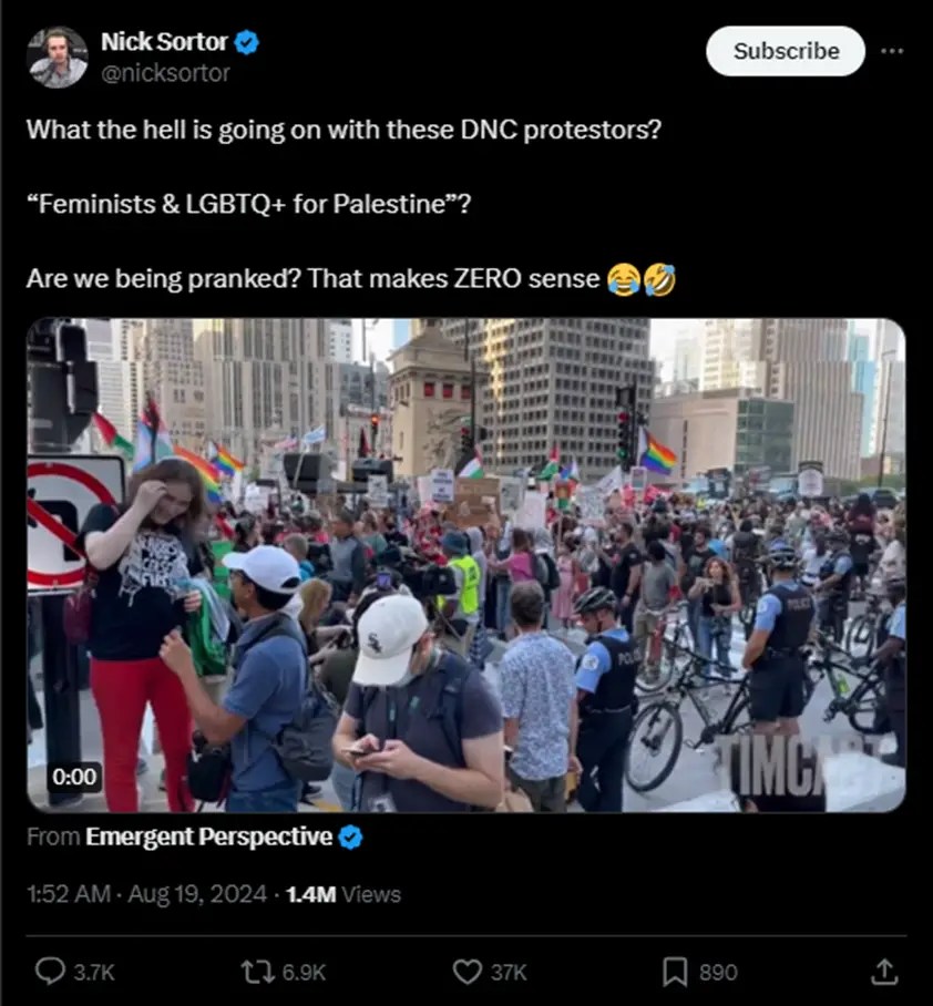 Pro-Palestine Protests To Dominate DNC… Including Feminists & LGBTQ+ For Palestine