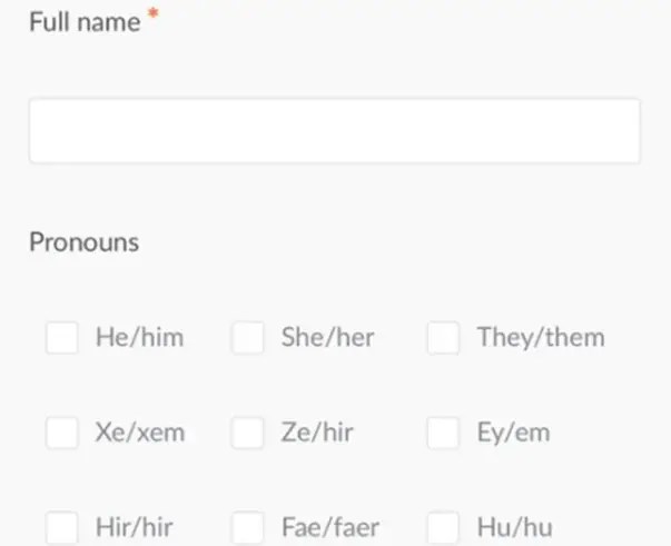 Kamala Harris’ Website Features More Pronouns Than Policies