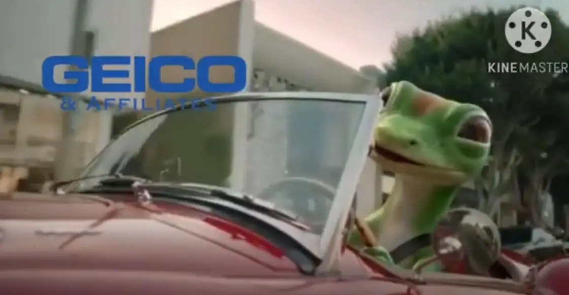 GEICO Goes Woke With New DEI Policy, Forces Employees to Declare Pronouns
