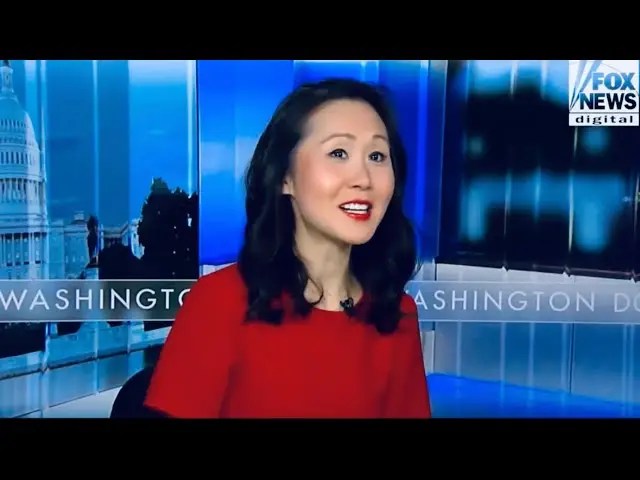 Ex-DNC Insider: Furious Donors Abandoning Party as Dems Implode