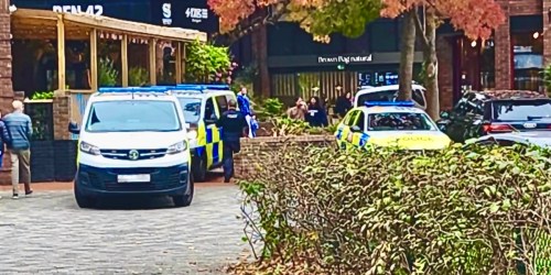 Man arrested on suspicion of assault after incident in Wokingham town centre