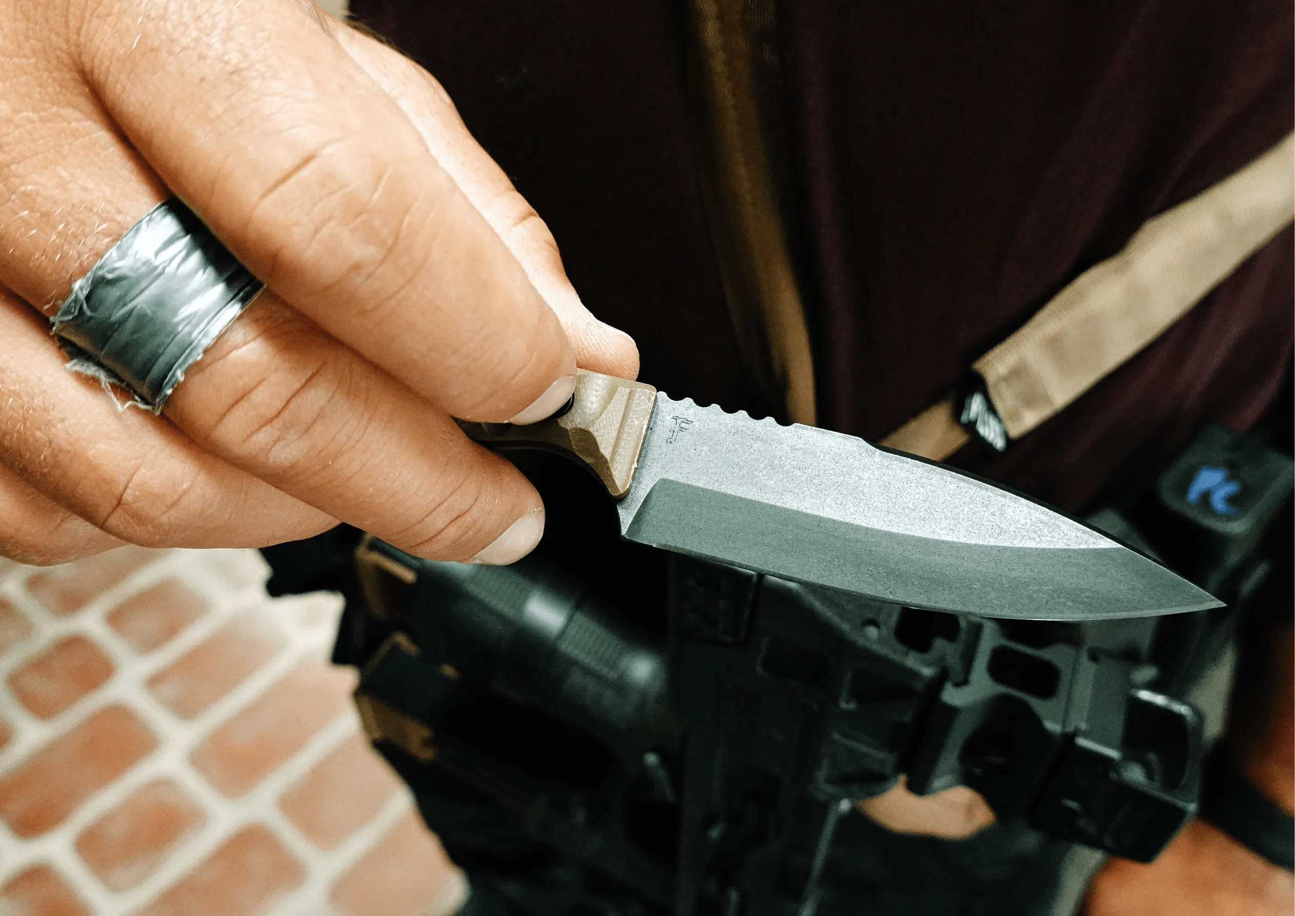 Seaf Jr 2 Wolf Forty Designs - Professional Ultra HD Nature Illustrations | Free Download